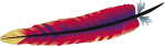 Apache